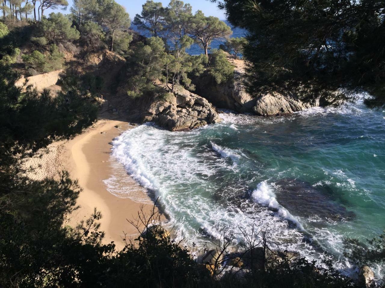Kalma Daro Apartments Platja d'Aro Bagian luar foto